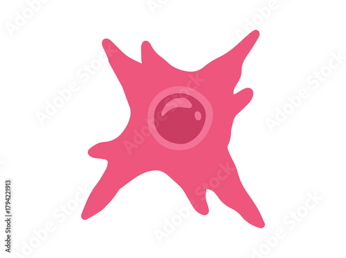 Fibroblast Immune Cell Clip Art