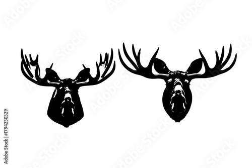 moose head close-up view silhouette pack