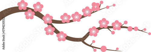 Pink Cherry Blossom Branch with White Centers on White Background plum blossom sakura
