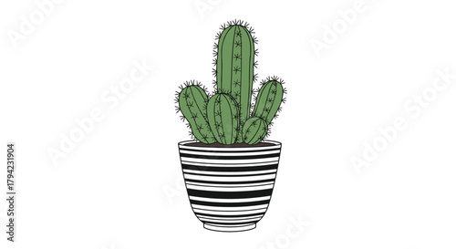 A hand-drawn green cactus plant with multiple stems and sharp spines is beautifully potted in a stylish black and white striped planter, isolated on white.