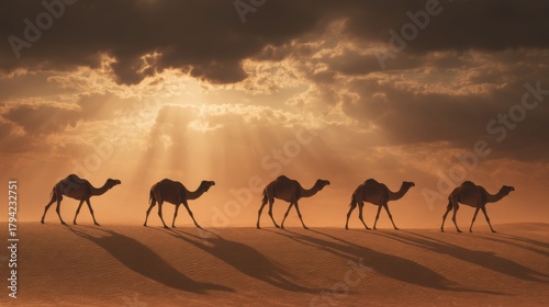 Majestic Camels Traveling Across Golden Dunes Under Dramatic Sky with Sunlight Streaming Through Clouds