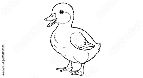 An adorable duckling stands with its beak open, depicted in a simple, fluffy-textured black and white line drawing for a coloring page.