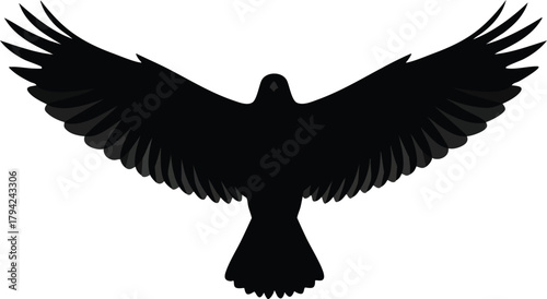 Majestic black bird with outstretched wings in flight, symbolizing freedom and power.