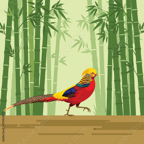 Stunning golden pheasant with vibrant red and yellow plumage walking in a lush green bamboo forest, representing Asian wildlife.