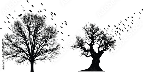 Flock of birds taking flight from bare trees against a white background