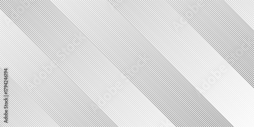 Geometric diagonal oblique vector curve gradient black and white graphic stripe line. Repeated fine diagonal lines Thin slash line stripes diagonal vector elegant background	