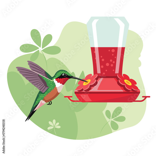 Beautiful ruby-throated hummingbird with iridescent feathers drinking nectar from a red bird feeder in a garden illustration.
