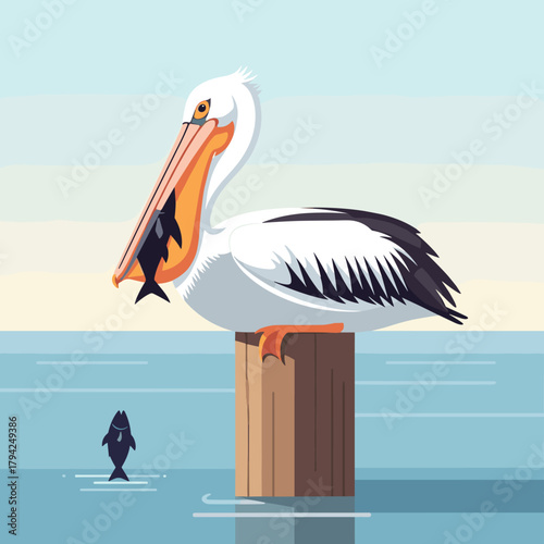 American white pelican perched on a wooden post in the water with a large fish caught in its distinctive throat pouch.