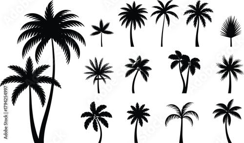 Palm tree silhouette collection, tropical tree icons, exotic frond shapes, graphic palm designs, botanical illustration set, black blue outline, nature clipart, vector art