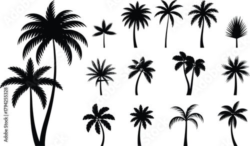 Palm tree silhouette collection, tropical tree shapes, exotic foliage design, curved trunks, beach vibe, summer graphic elements, black blue contrast, nature illustration set