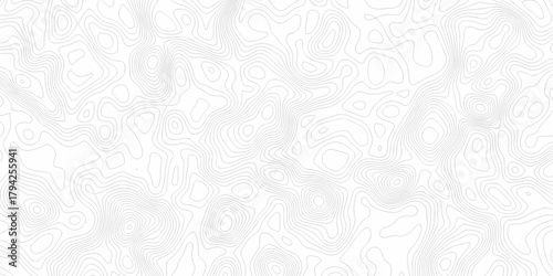 Minimal white line geometric grid outline curve counter map and wavy topography relief discovery area white, black line texture background.	
