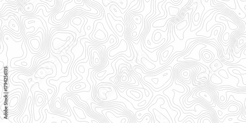 Minimal white line geometric grid outline curve counter map and wavy topography relief discovery area white, black line texture background.	
