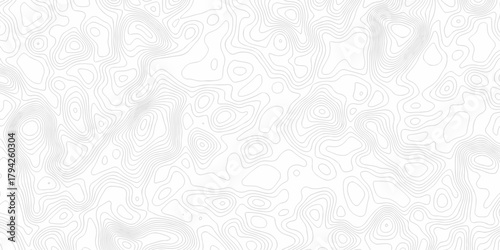 Minimal white line geometric grid outline curve counter map and wavy topography relief discovery area white, black line texture background.	
