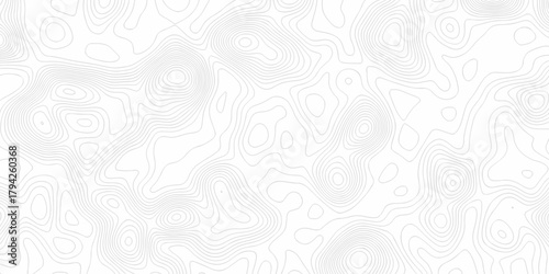 Minimal white line geometric grid outline curve counter map and wavy topography relief discovery area white, black line texture background.	