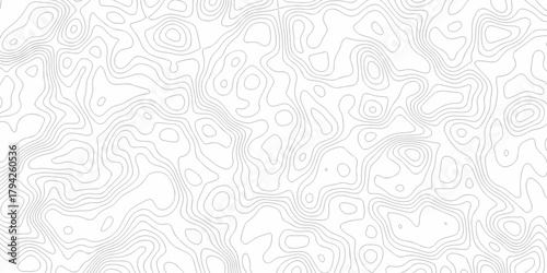 Minimal white line geometric grid outline curve counter map and wavy topography relief discovery area white, black line texture background.	