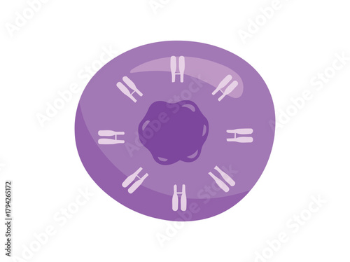 T Immune Cell Clip Art
