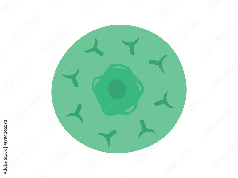 Obraz premium T Immune Cell Clip Art