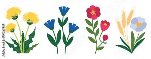 Collection of Stylized Flowers and Wheat Stalks on White Background Keywords: flowers, dandelions, bluebells, poppies, wheat, stalks, botanical