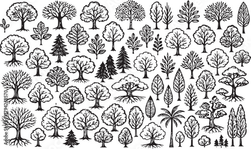Hand Drawn Diverse Tree Collection: Vintage Botanical Sketch Vector Set