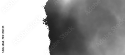 Foto Abstract image showing a gradient transition from pure white on the left to dark