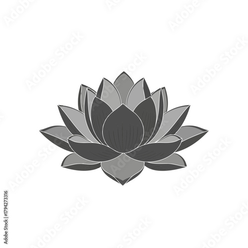 A delicate lotus flower in shades of grey, symbolizing purity, enlightenment, and rebirth, isolated on a