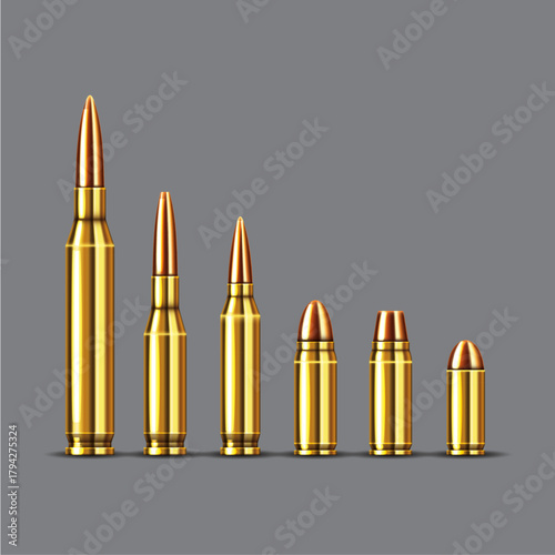 Assortment of golden bullets in various sizes aligned on a neutral showcasing ammunition types and firearm accessories for hunting or target practice and defense purposes