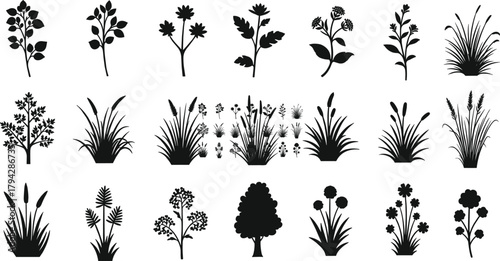 Botanical plant silhouette set, diverse foliage vector icons, flower, grass, shrub and tree shapes pack, flat vector illustration