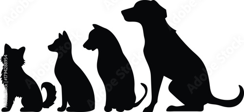 Silhouetted dogs sitting in a row from small to large on transparent background