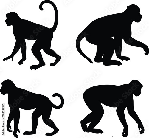 Four monkey silhouettes in various poses against a stark art on transparent background