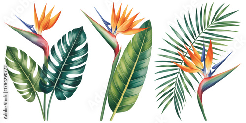 Watercolor tropical flower mix PNG with bird of paradise and palm leaves