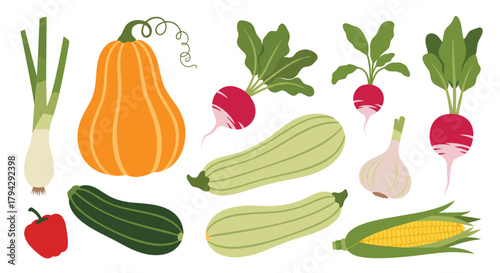 Colorful collection of various fresh and healthy garden vegetables, including squash, corn, zucchini, radishes, and leeks.