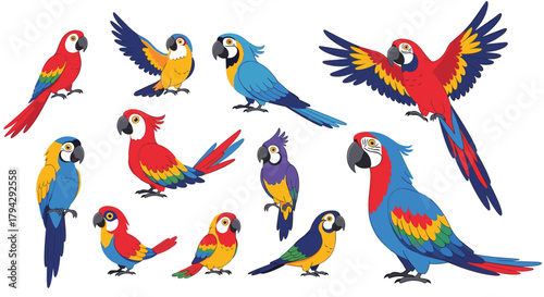 Large collection of colorful cartoon parrot and macaw birds in various standing, sitting, and flying poses on a white background.