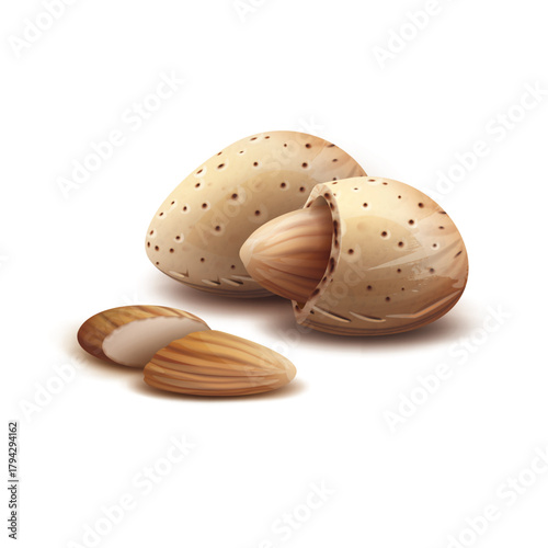 Almond Delight: A close-up shot showcasing the beauty of the almond, with its delicate shell and inviting inner seed. capturing freshness of the fruit.