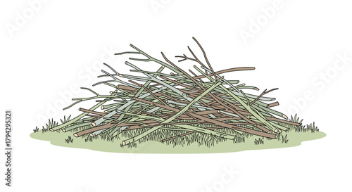 Pruned branches stacked in a pile on grassy ground  