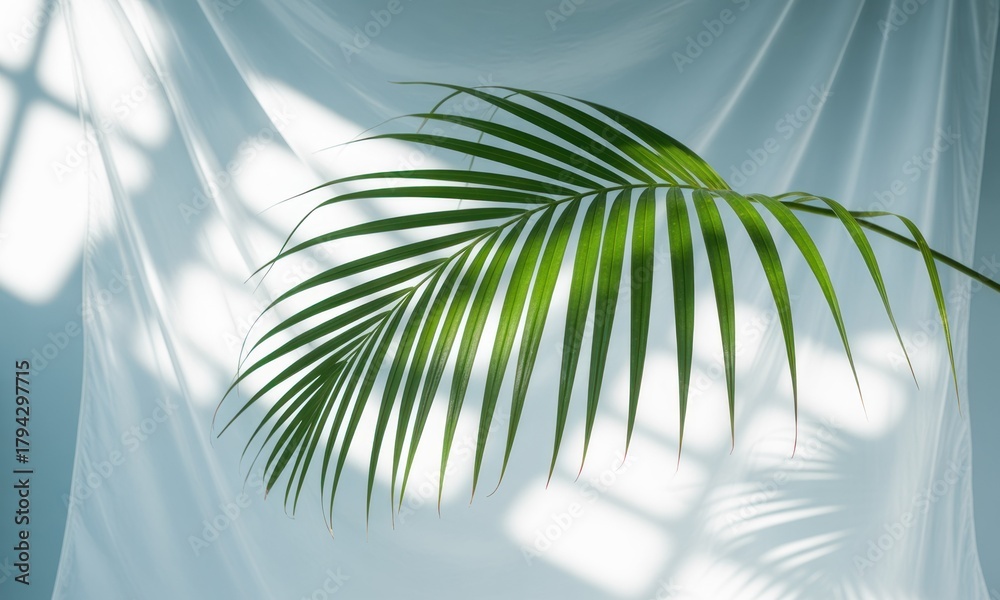 Fototapeta premium Light filters through a sheer fabric, highlighting a vibrant palm leaf