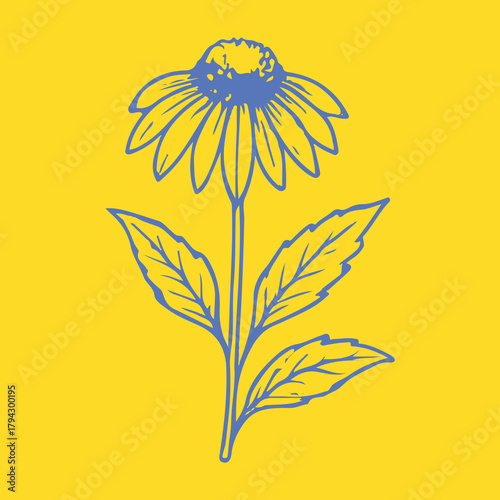 Botanical-style drawings of healing plants