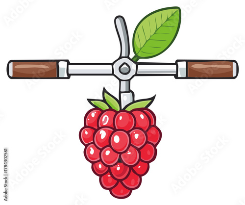 Whimsical Raspberry Bicycle Handlebars Cartoon Illustration on White Background