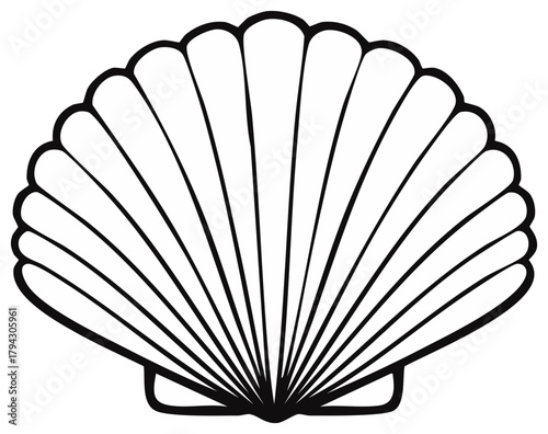 Elegant seashell illustration with scalloped design and bold outline forming nature theme.