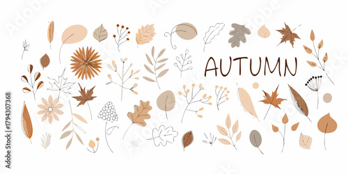Collection of hand drawn autumn leaves flowers and berries in warm earth tones