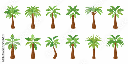 Collection of diverse palm trees with green leaves and brown trunks isolated on white background