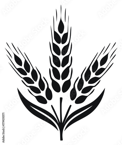 Black silhouette illustration of three wheat ears cereal grains for agriculture organic food and baking