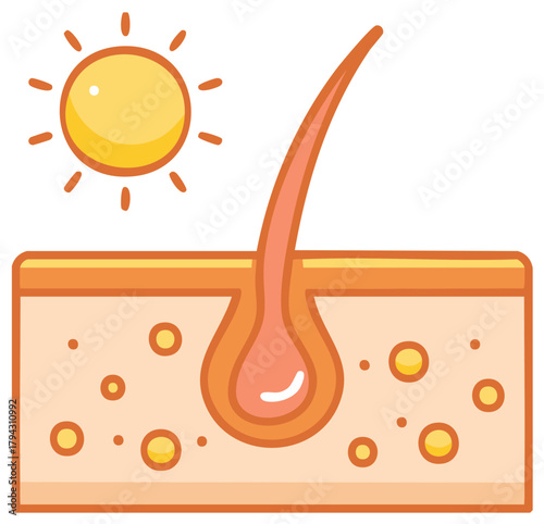 Hair follicle cross section with sun. Skin and hair care symbol. Dermatology.