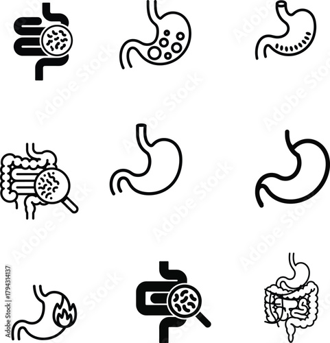 Digestion Digestive System Vector Illustration Featuring Intestine Colon Bowel And Gut Health With Digestive Illustration And Stomach