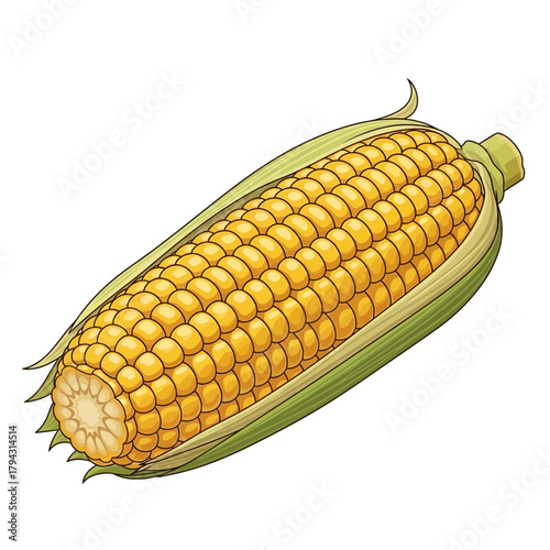 Illustration of Vibrant Yellow Corn Cob with Natural Green Husks Isolated