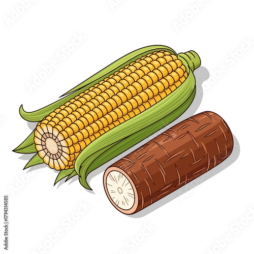 Isolated Corncob and Cassava Root Representing Staple Food Ingredients