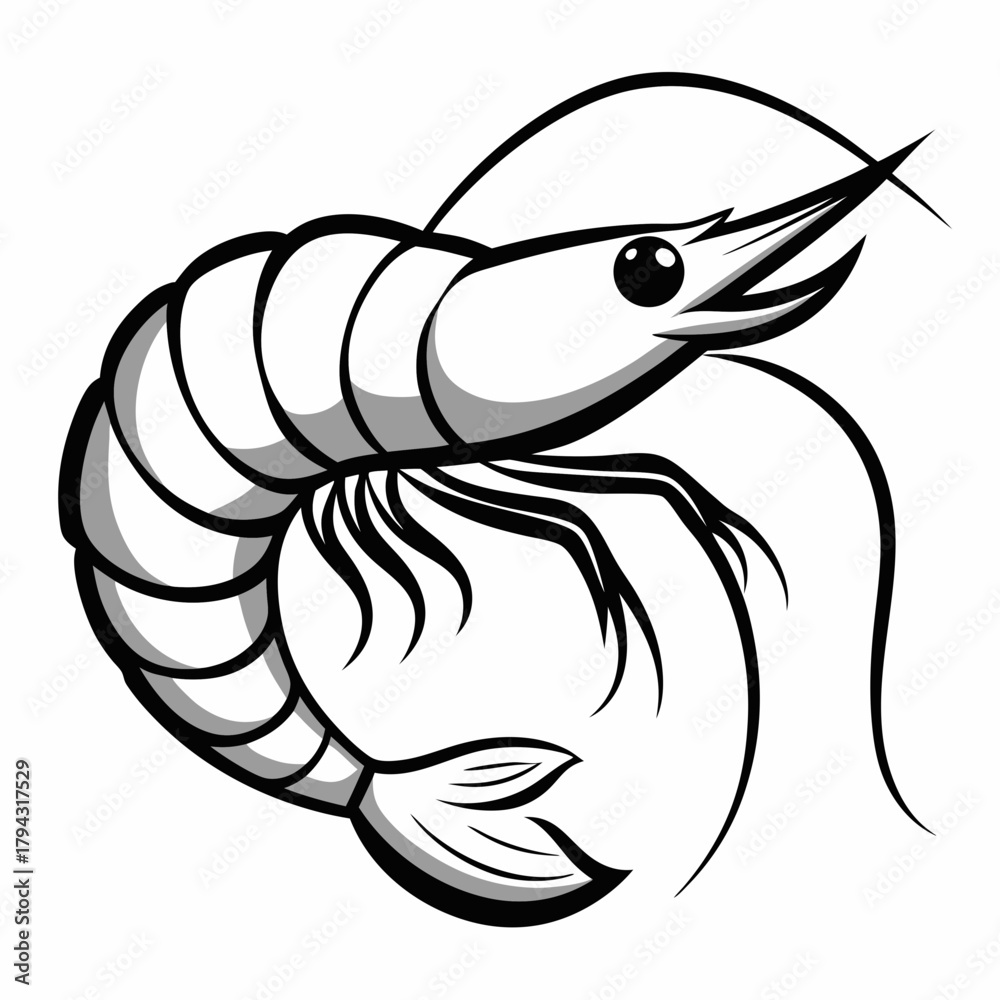 Fototapeta premium Shrimp fish on white background