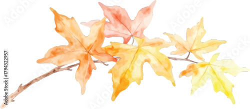 Watercolor painting of a branch with autumn leaves in warm tones, transparent background, vector, illustration
