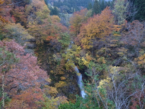 蛇淵の滝　秋山郷