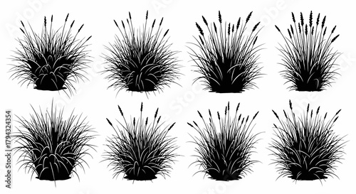 Vector icon collection of eight ornamental grass clumps