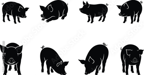Pig silhouette set, farm animal vector, black pig poses, walking pig, sniffing pig, lying pig, livestock icon, agriculture design